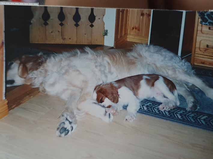 Ella & Sally 2002